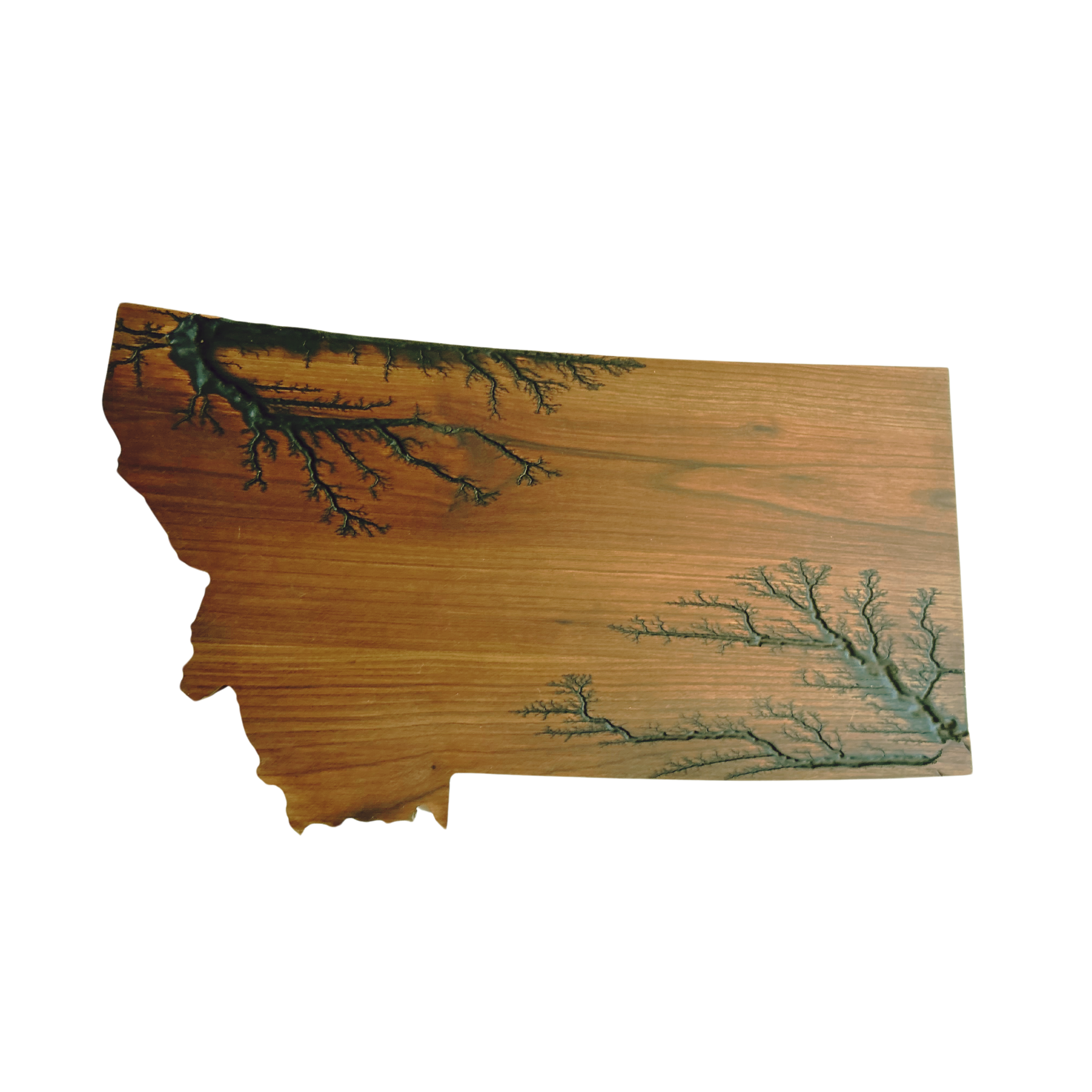 Montana Shaped Electrocuted Charcuterie Plank